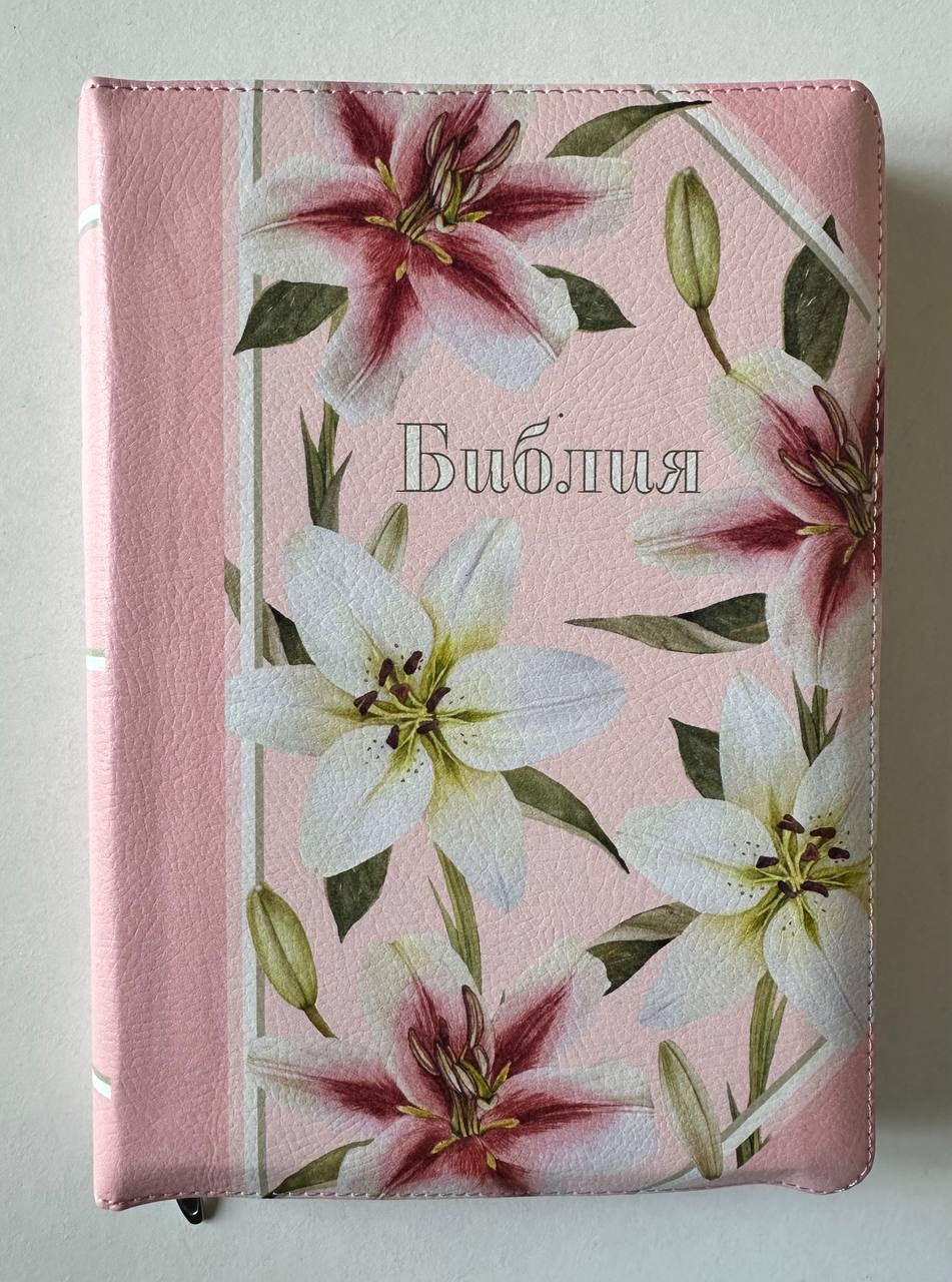 Библия ∙ Формат 20х15cm. Синодальный перевод