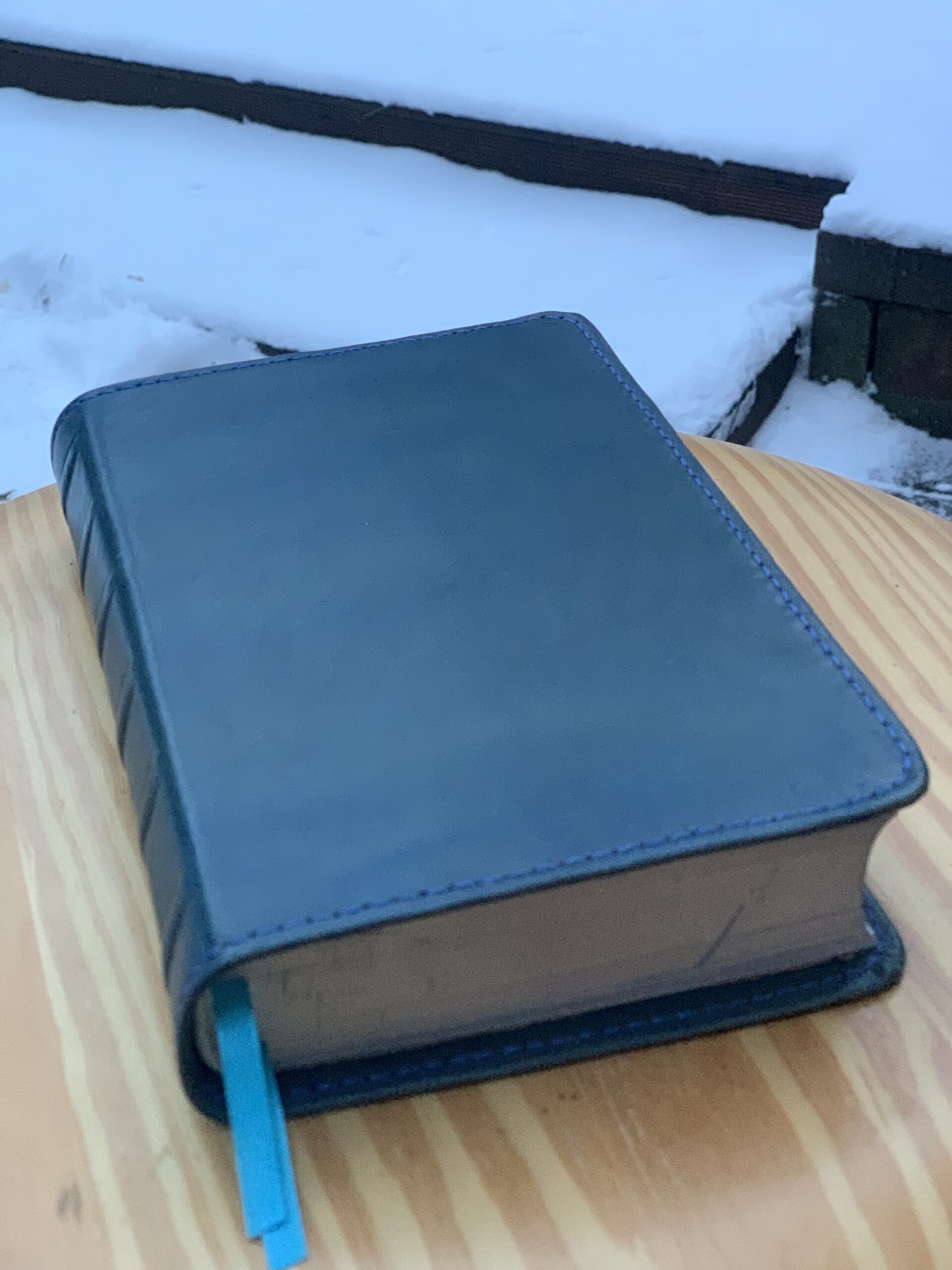 Библия ∙ Новый русский перевод ∙ Обложка кожа handmade (by Leapner Brothers) 15,5x23cm