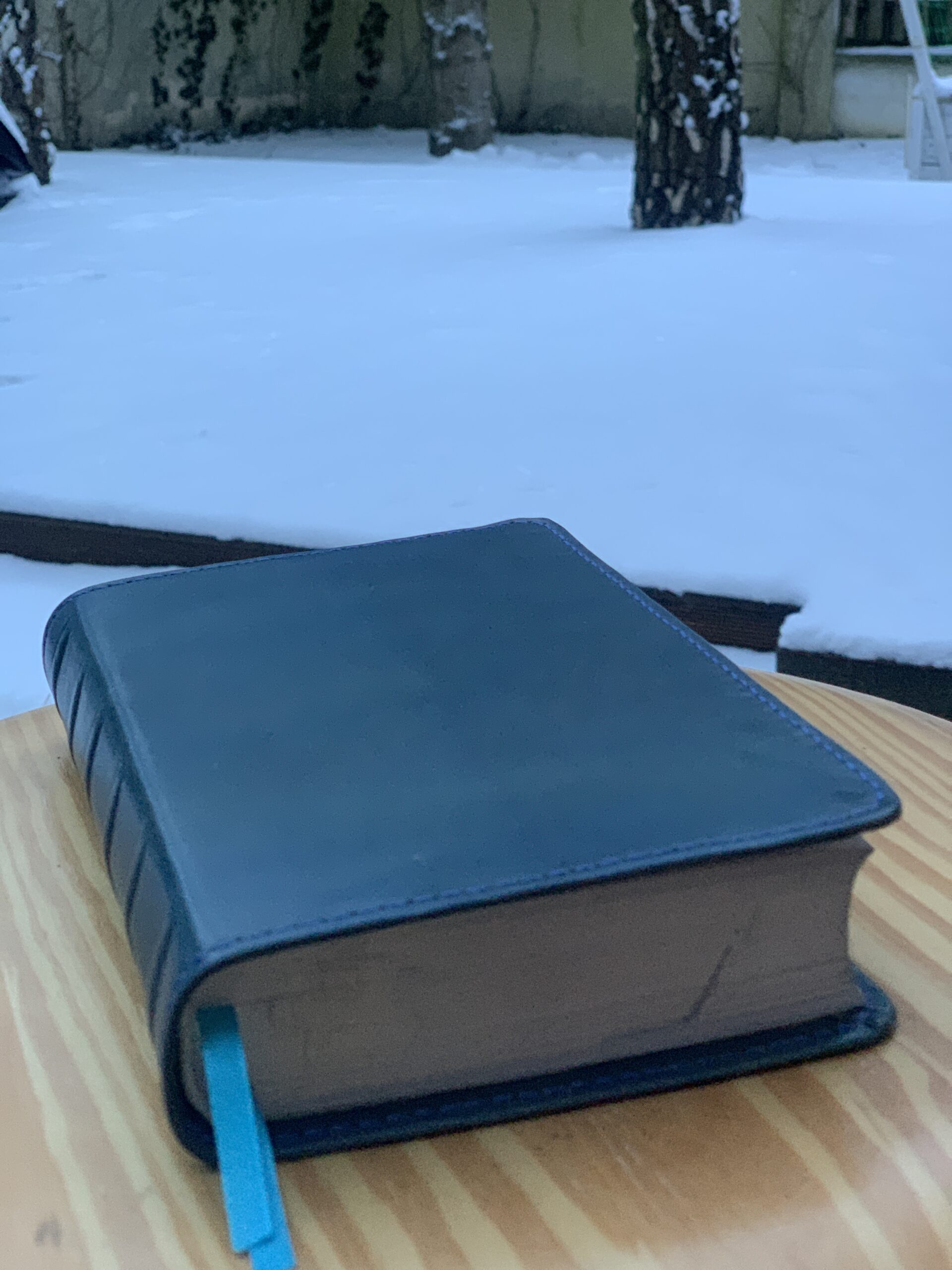 Библия ∙ Новый русский перевод ∙ Обложка кожа handmade (by Leapner Brothers) 15,5x23cm - obrazek 3