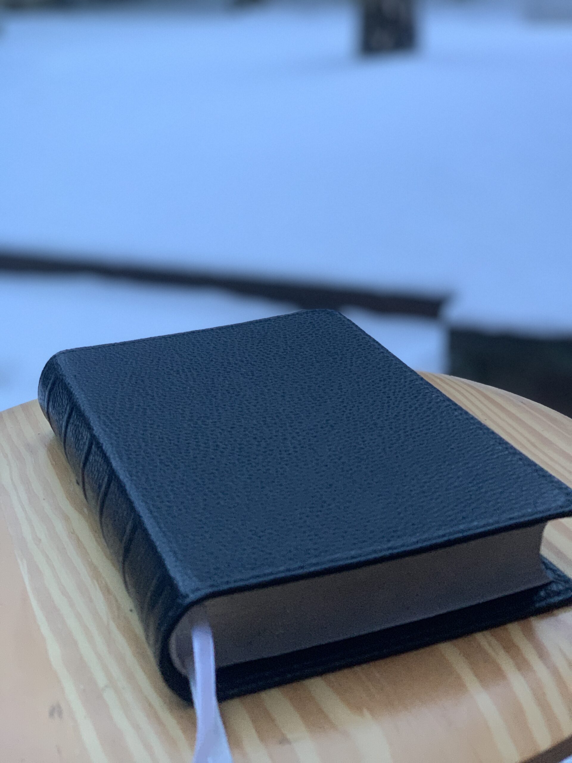 Biblia Uwspółcześniona Gdańska (UBG) ∙ skórzana okładka handmade (by Leapner Brothers) 16x23cm - obrazek 3