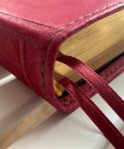 Biblia (UBG) ∙ Skórzana okładka handmade (by Leapner Brothers) 14,5x24cm